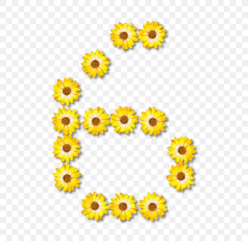 Z Alphabet O Letter Clip Art, PNG, 572x800px, Alphabet, Chrysanthemum, Chrysanths, Cut Flowers, Daisy Family Download Free