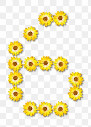 Alphabet Flower - Z Alphabet O Letter Clip Art PNG