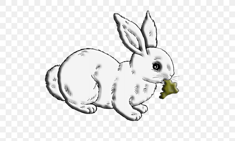 Domestic Rabbit White Rabbit Hare European Rabbit, PNG, 600x490px, Domestic Rabbit, Animal Figure, Animation, Artwork, Black And White Download Free