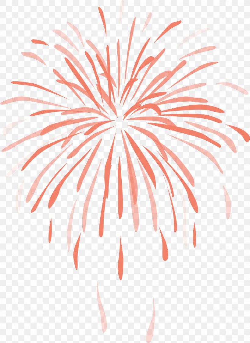 Fireworks Color Clip Art, PNG, 2297x3159px, Fireworks, Color, Event, Flower, Flowering Plant Download Free