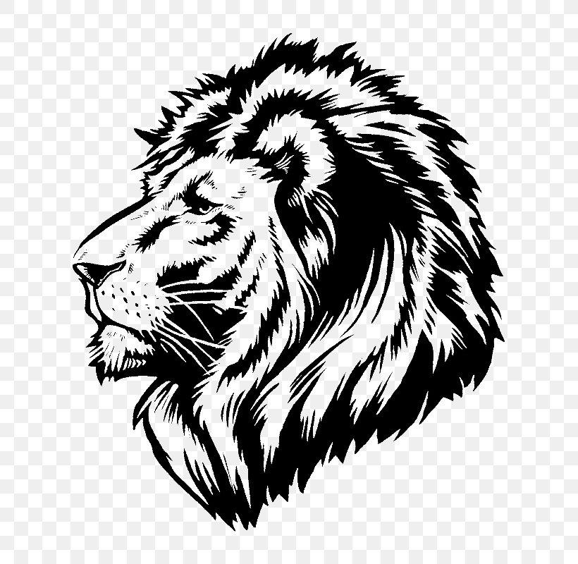 Lion Wall Decal Sticker Polyvinyl Chloride, PNG, 693x800px, Lion, Adhesive, Big Cats, Black, Black And White Download Free
