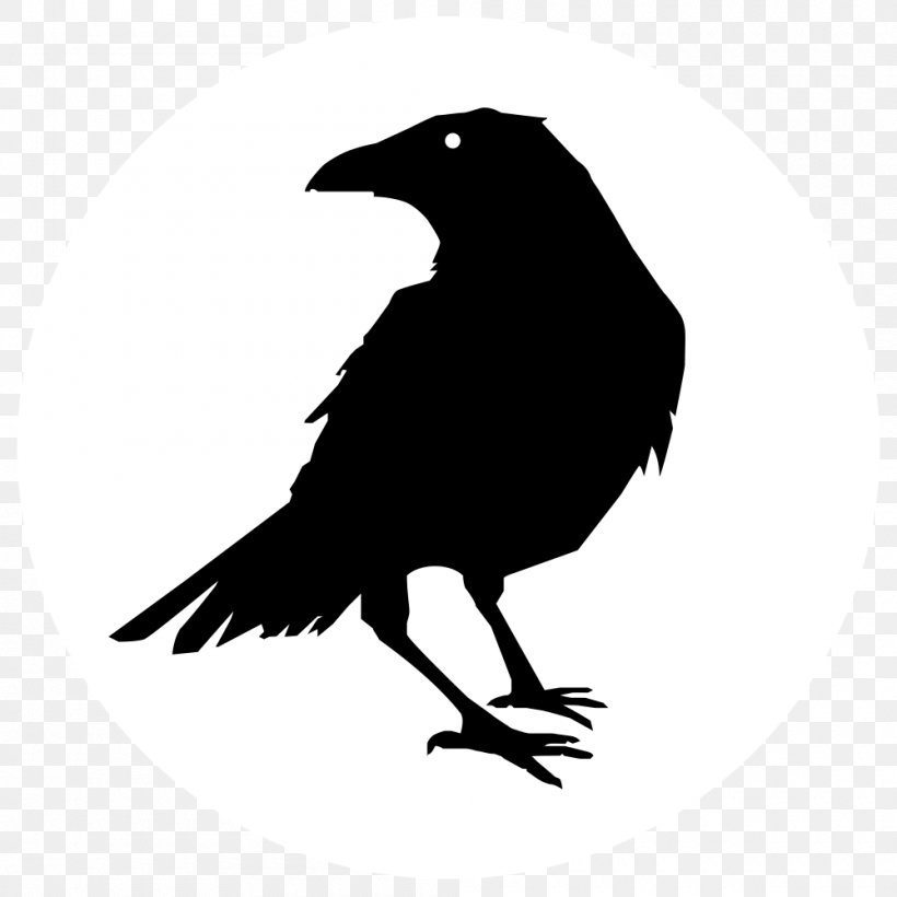 The Raven Crow Common Raven Clip Art, PNG, 1000x1000px, Raven, American Crow, Beak, Beer, Bird Download Free