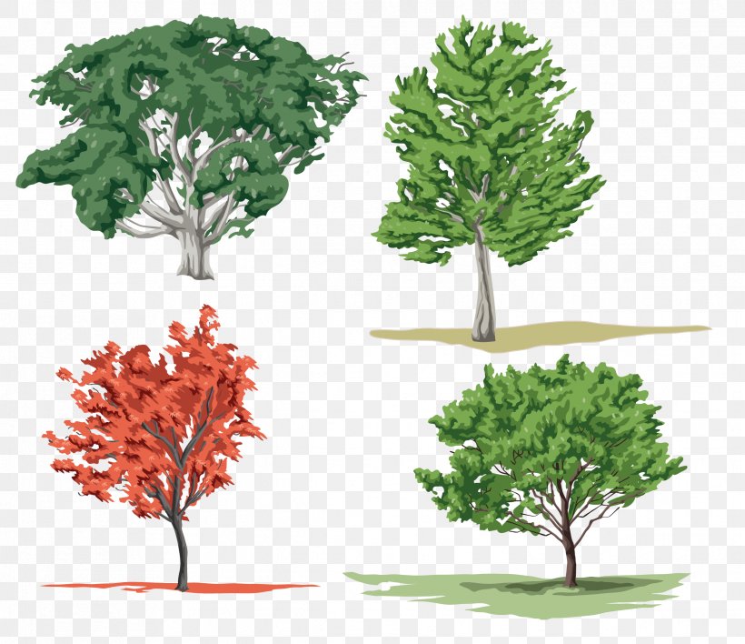 Tree Woody Plant Clip Art, PNG, 2436x2104px, Tree, Animation, Branch, Drawing, Flowerpot Download Free