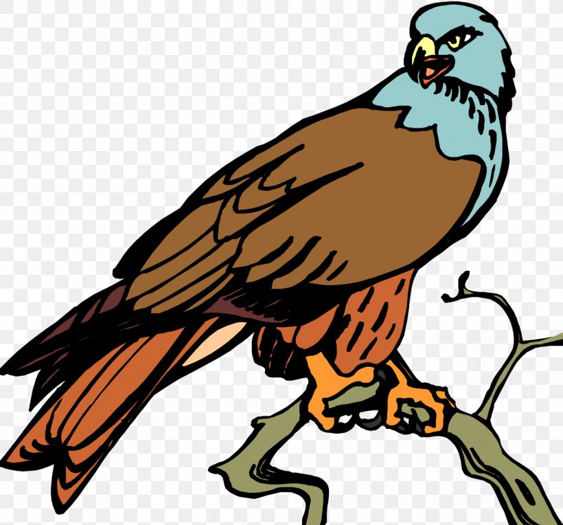 Bird Of Prey Hawk Beak Eagle, PNG, 1200x1119px, Bird, Animal, Artwork, Beak, Bird Of Prey Download Free