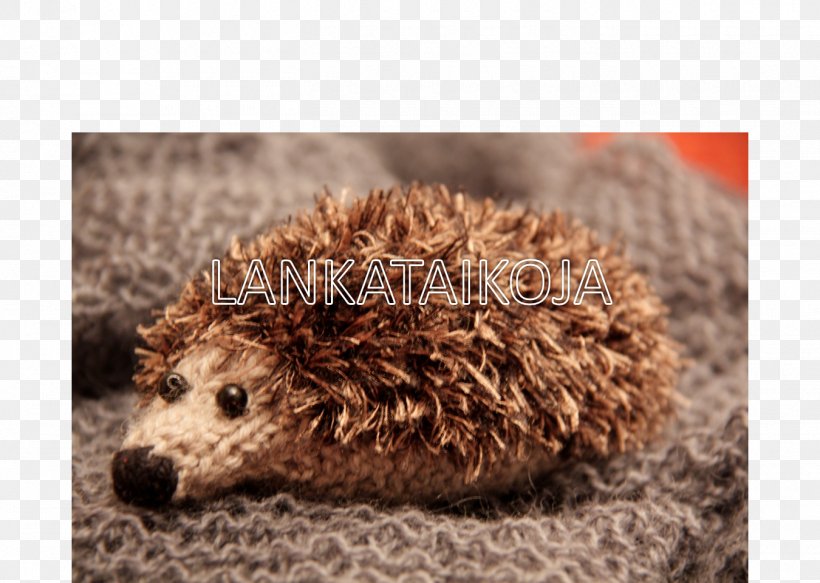 Domesticated Hedgehog Fauna Fur Snout, PNG, 1350x960px, Domesticated Hedgehog, Domestication, Erinaceidae, Fauna, Fur Download Free