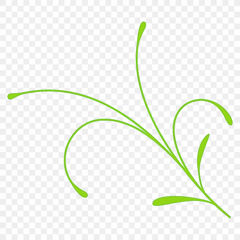 Leaf Grass Plant Grass Family Flower, PNG, 1200x1200px, Leaf, Flower, Grass, Grass Family, Pedicel Download Free