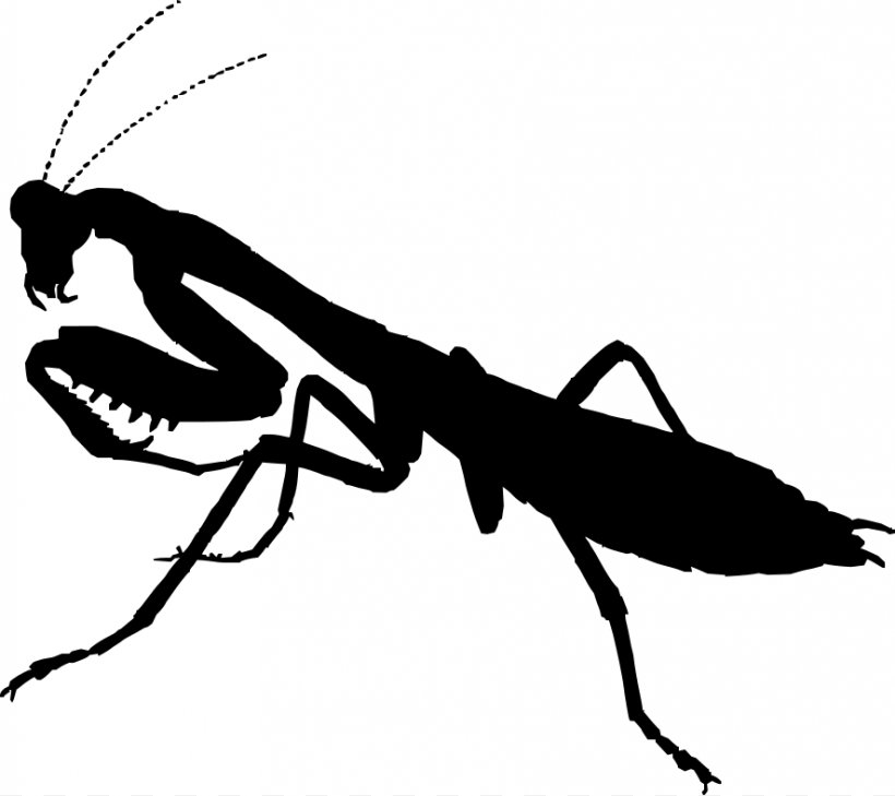 Mantis Praying Drawing Silhouette Clip Art, PNG, 886x788px, Mantis, Animal, Arthropod, Black And White, Drawing Download Free
