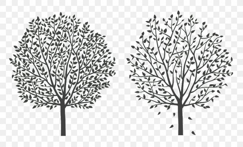Tree Twig Silhouette Cartoon Line Art, PNG, 1024x622px, Tree, Black And White, Branch, Cartoon, Drawing Download Free