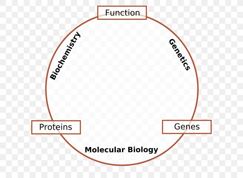 Molecular Biology Genetics Cell Biology Molecule, PNG, 621x600px, Molecular Biology, Area, Biochemistry, Biology, Brand Download Free