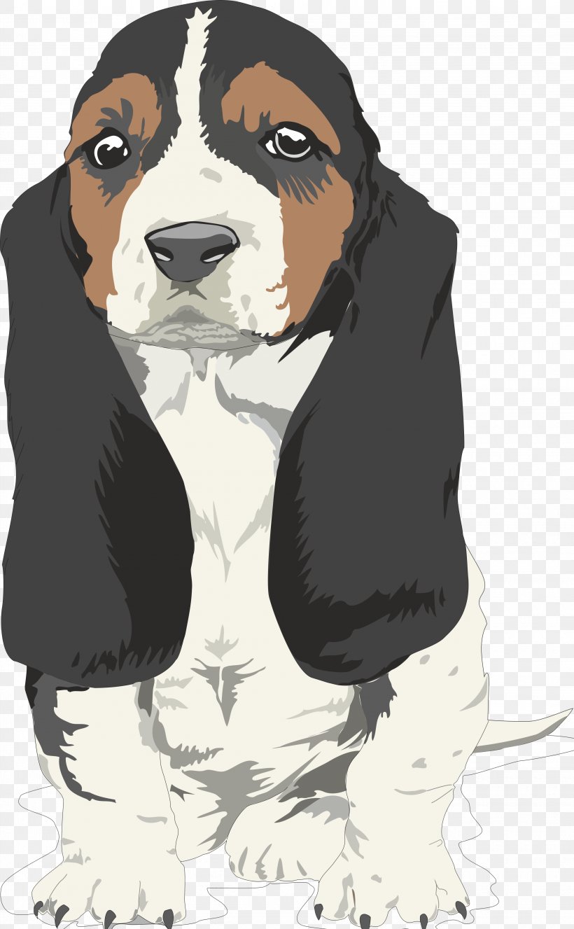 Beagle Bulldog Puppy Border Terrier Cat, PNG, 3045x4930px, Beagle, Allergy, Animal, Basset Hound, Bloodhound Download Free