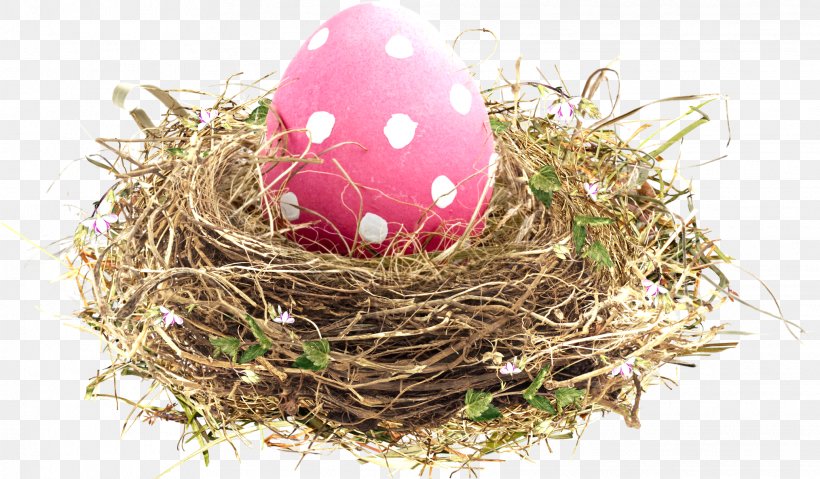 Bird Nest Easter, PNG, 2028x1185px, Bird, Bird Nest, Clutch, Easter, Easter Egg Download Free