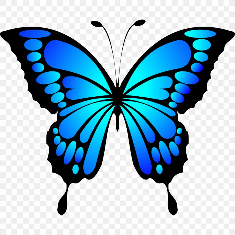 Butterfly Insect Clip Art Image Color, PNG, 1000x1000px, Butterfly, Blue, Brush Footed Butterfly, Butterflies And Moths, Cabbage White Download Free