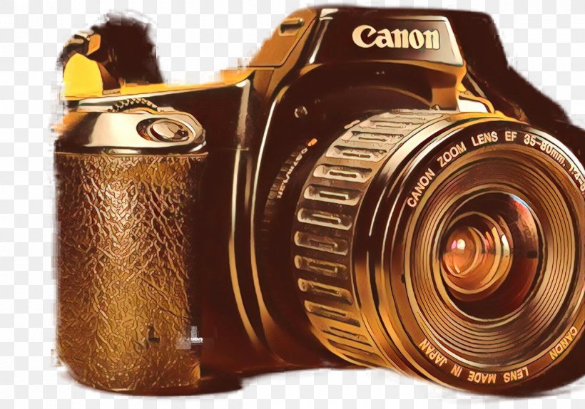Digital SLR Camera Lens Single-lens Reflex Camera Mirrorless Interchangeable-lens Camera, PNG, 1200x840px, Digital Slr, Camera, Camera Accessory, Camera Lens, Cameras Optics Download Free