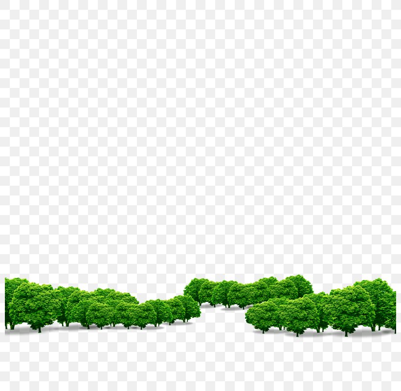 Download Computer File, PNG, 800x800px, Vecteur, Area, Grass, Green, Rectangle Download Free