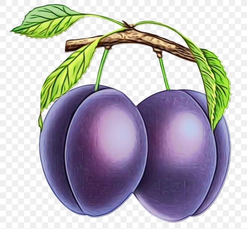 European Plum Violet Fruit Purple Plant, PNG, 800x762px, Watercolor, Cherry, European Plum, Food, Fruit Download Free