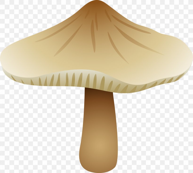Fungus Edible Mushroom Boletus Edulis, PNG, 2865x2565px, Fungus, Beige, Boletus, Boletus Edulis, Botanical Illustration Download Free