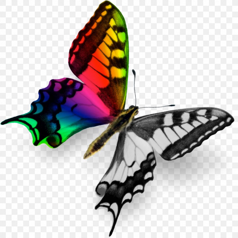 Mac App Store Apple Computer Software MacOS IWork, PNG, 1024x1024px, Mac App Store, App Store, Apple, Arthropod, Brush Footed Butterfly Download Free