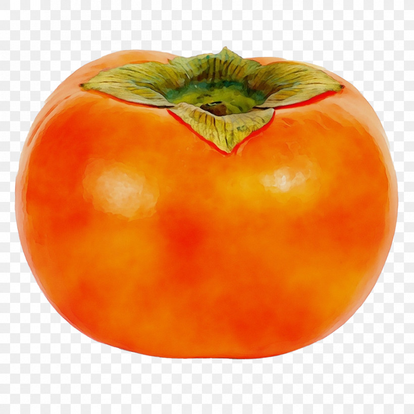 Tomato, PNG, 1199x1200px, Watercolor, Apple, Food Spoilage, Local Food, Natural Food Download Free