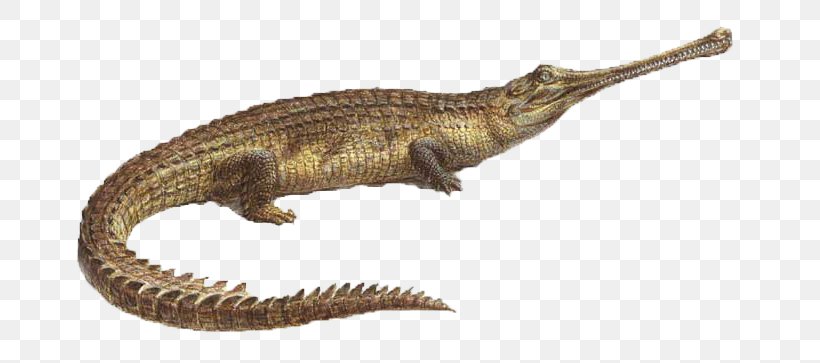 Velociraptor Gharial Crocodiles Terrestrial Animal, PNG, 750x363px, Velociraptor, Animal, Animal Figure, Crocodiles, Crocodilia Download Free