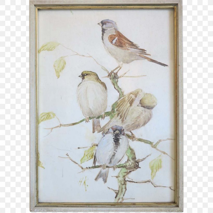 Watercolor Painting Finches Feather, PNG, 990x990px, Painting, Artwork, Beak, Bird, Branch Download Free