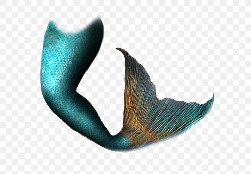 Mermaid Tail Siren, PNG, 600x569px, Mermaid, Art, Digital Image, Legendary Creature, Little Mermaid Download Free