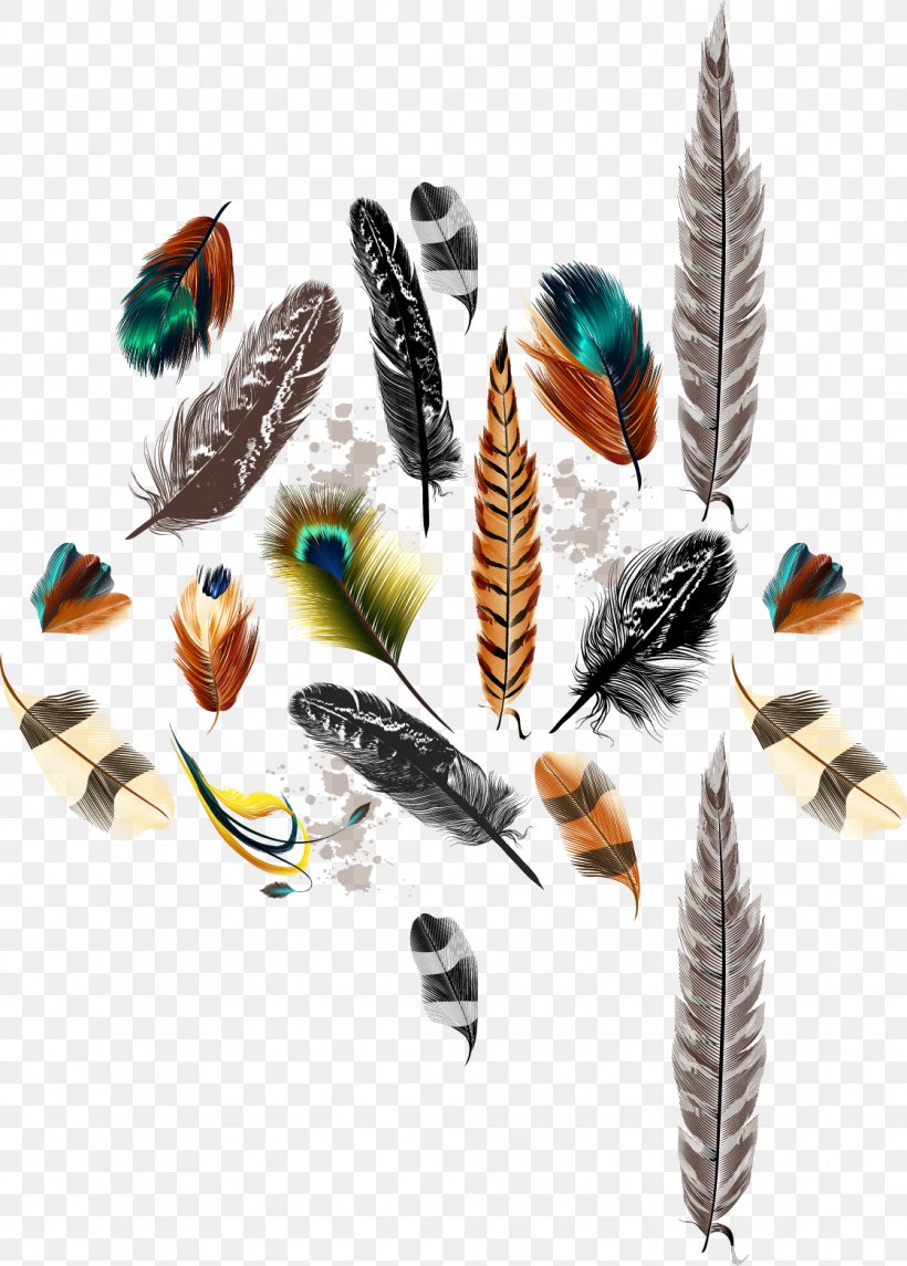 Bird Feather Drawing Color, PNG, 1120x1565px, Bird, Animal Product, Brochure, Color, Drawing Download Free