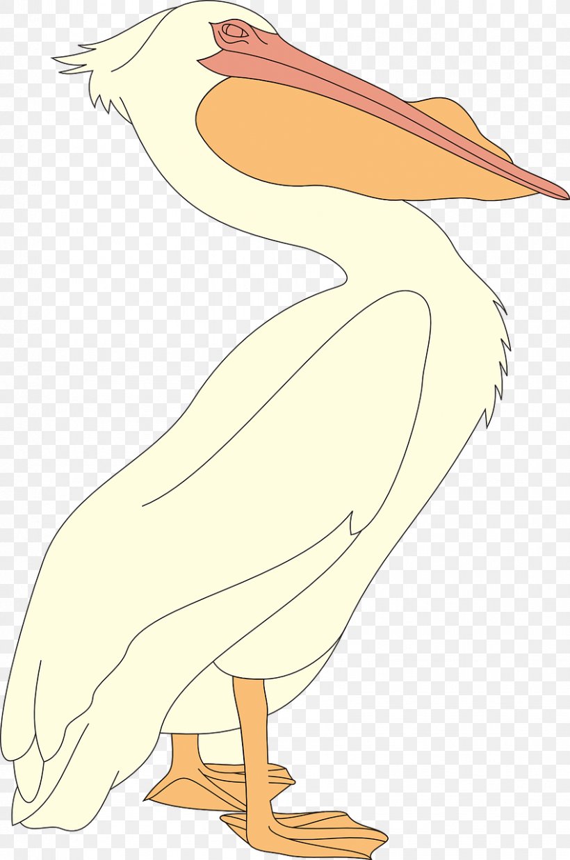 Cartoon Bird, PNG, 848x1280px, Pelican, Animal Figure, Beak, Bird, Feather Download Free
