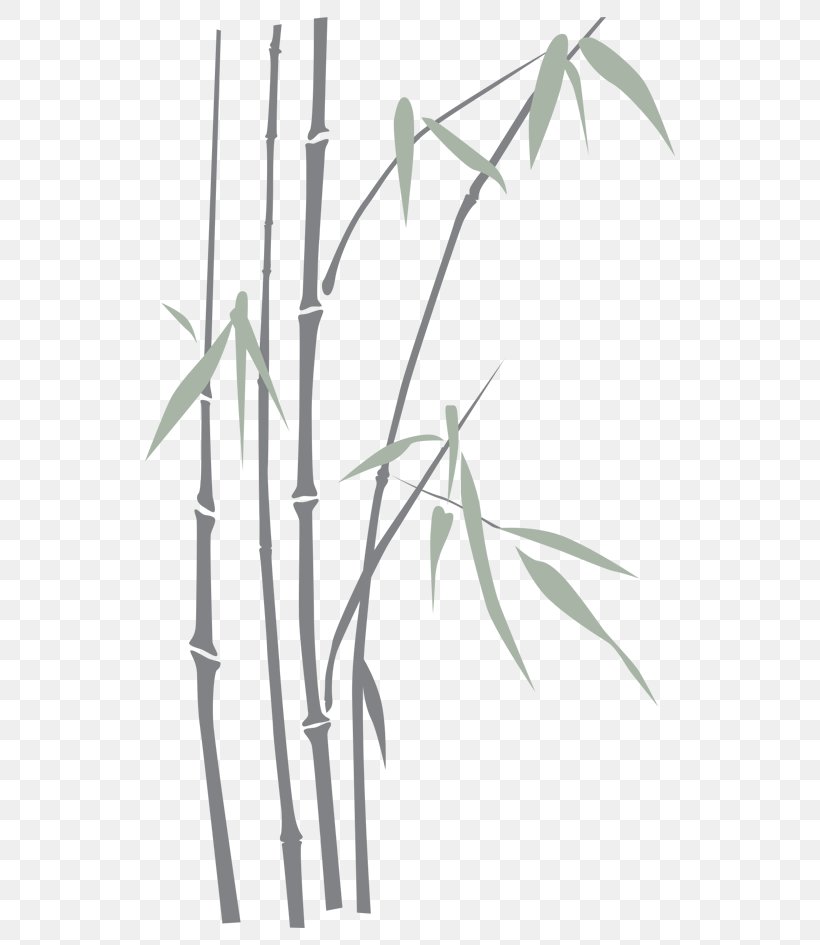Line Angle, PNG, 550x945px, Bamboo, Branch, Grass Family, Leaf, Plant Stem Download Free