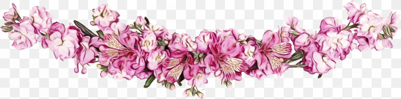 Pink Cut Flowers Flower Plant Petal, PNG, 1500x373px, Flower Border, Cut Flowers, Floral Line, Flower, Flower Background Download Free