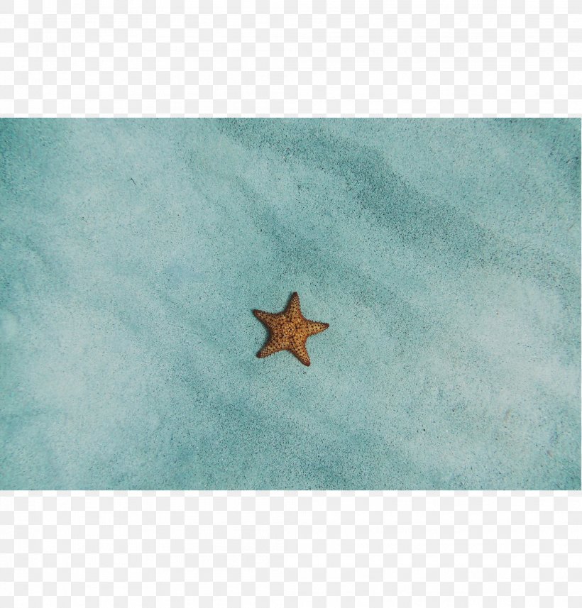 Starfish Turquoise Sky Plc, PNG, 2083x2179px, Starfish, Aqua, Echinoderm, Marine Invertebrates, Sky Download Free