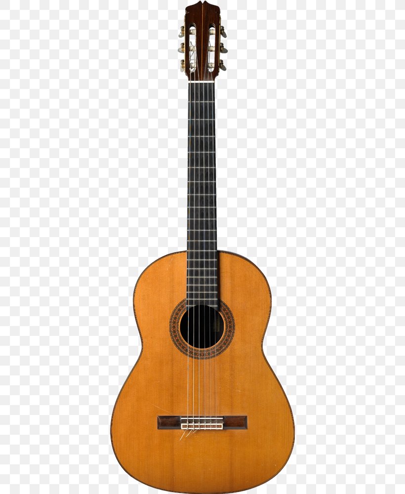 Steel-string Acoustic Guitar C. F. Martin & Company Classical Guitar Parlor Guitar, PNG, 576x1000px, Watercolor, Cartoon, Flower, Frame, Heart Download Free
