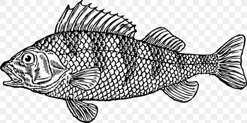 Whitefish Cod Clip Art, PNG, 958x480px, Fish, Animal Figure, Artwork, Black And White, Cod Download Free