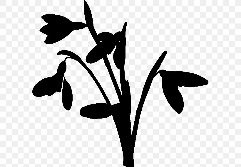 Clip Art Flower Plant Stem Leaf Line, PNG, 600x569px, Flower, Blackandwhite, Botany, Branch, Flowering Plant Download Free