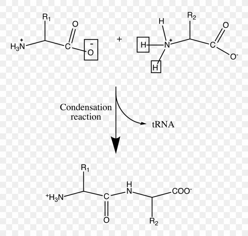 Condensation Liquid Natural-gas Condensate Phase, PNG, 1000x950px, Condensation, Area, Auto Part, Black And White, Condensation Reaction Download Free