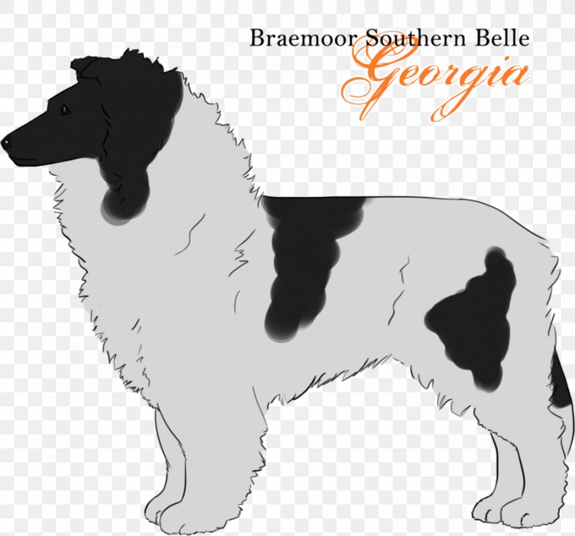 English Springer Spaniel Drentse Patrijshond Stabyhoun Dog Breed Puppy, PNG, 925x863px, English Springer Spaniel, Breed, Carnivoran, Companion Dog, Dog Download Free