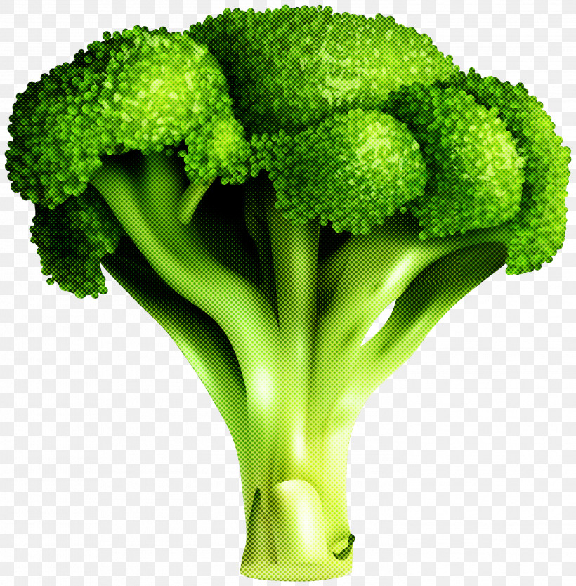 Broccoli Vegetable Leaf Vegetable Plant Superfood, PNG, 2948x2999px, Broccoli, Flower, Grass, Leaf Vegetable, Natural Foods Download Free