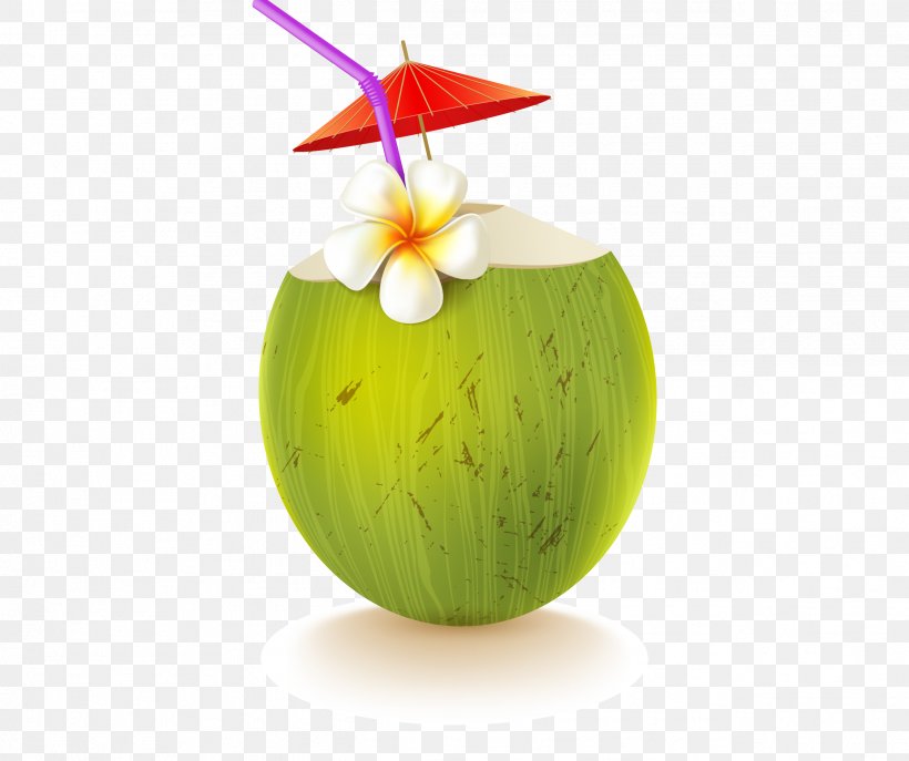 Coconut Water Drink, PNG, 2543x2133px, Coconut Water, Apple, Bottle, Coconut, Drink Download Free