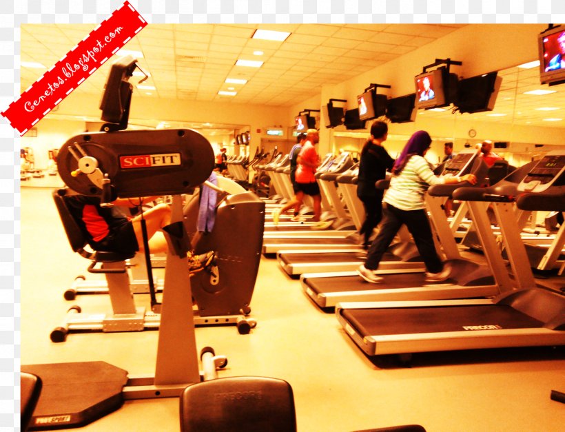 Fitness Centre Leisure, PNG, 1411x1079px, Fitness Centre, Gym, Leisure, Room Download Free