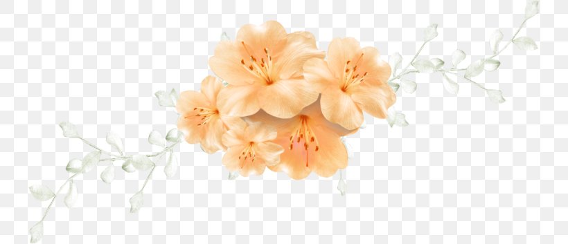 Floral Design Cut Flowers Flower Bouquet Blossom, PNG, 738x353px, Floral Design, Blossom, Branch, Cherry, Cherry Blossom Download Free