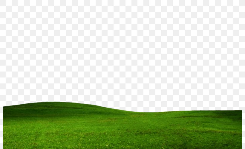Lawn Green Sky Grassland Wallpaper, PNG, 800x500px, Lawn, Computer, Grass, Grassland, Green Download Free