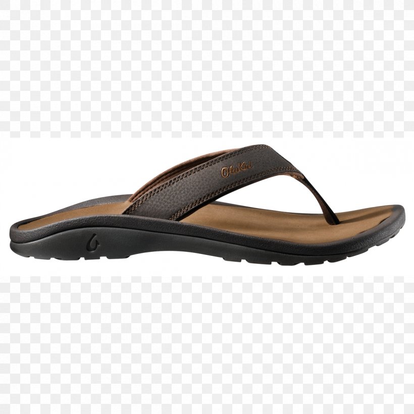 Slipper Flip-flops Sandal Shoe Reef, PNG, 1200x1200px, Slipper, Boot, Brown, Clothing, Flip Flops Download Free