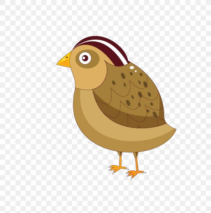 Bird Cartoon, PNG, 1341x1353px, Bird, Adobe Animate, Animation, Beak, Cartoon Download Free