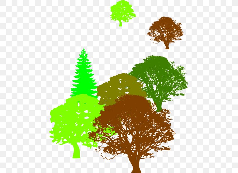 Desktop Wallpaper Tree Clip Art, PNG, 480x596px, Tree, Branch, Conifer, Document, Grass Download Free