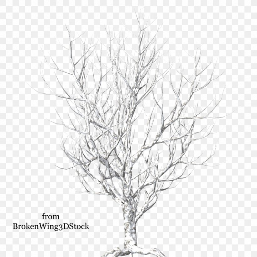 Tree Branch Winter Snow, PNG, 900x900px, Tree, Black And White, Branch, Drawing, Flowering Plant Download Free