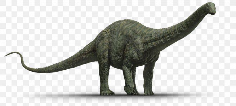 Apatosaurus Tyrannosaurus Stegosaurus Diplodocus Triceratops, PNG, 1440x651px, Apatosaurus, Animal, Animal Figure, Apatosaurus Excelsus, Dinosaur Download Free