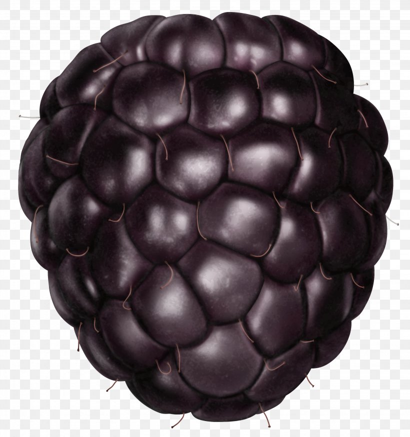 Blackberry Clip Art, PNG, 3069x3276px, Fruit, Berry, Blackberry, Royalty Free, Sphere Download Free