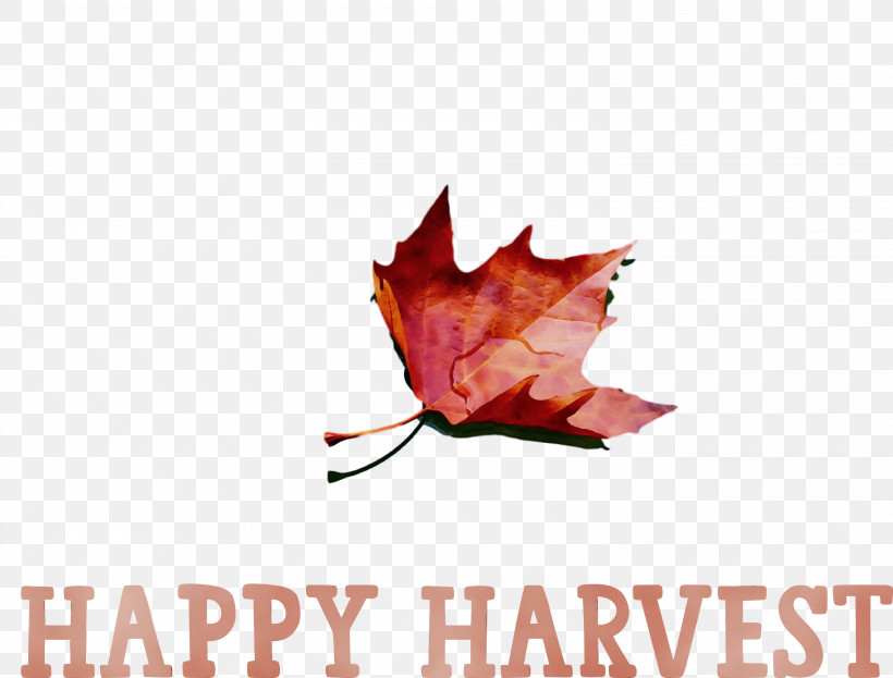 Leaf Maple Leaf / M Font Tree Meter, PNG, 3000x2280px, Happy Harvest, Biology, Harvest Time, Leaf, Maple Leaf M Download Free