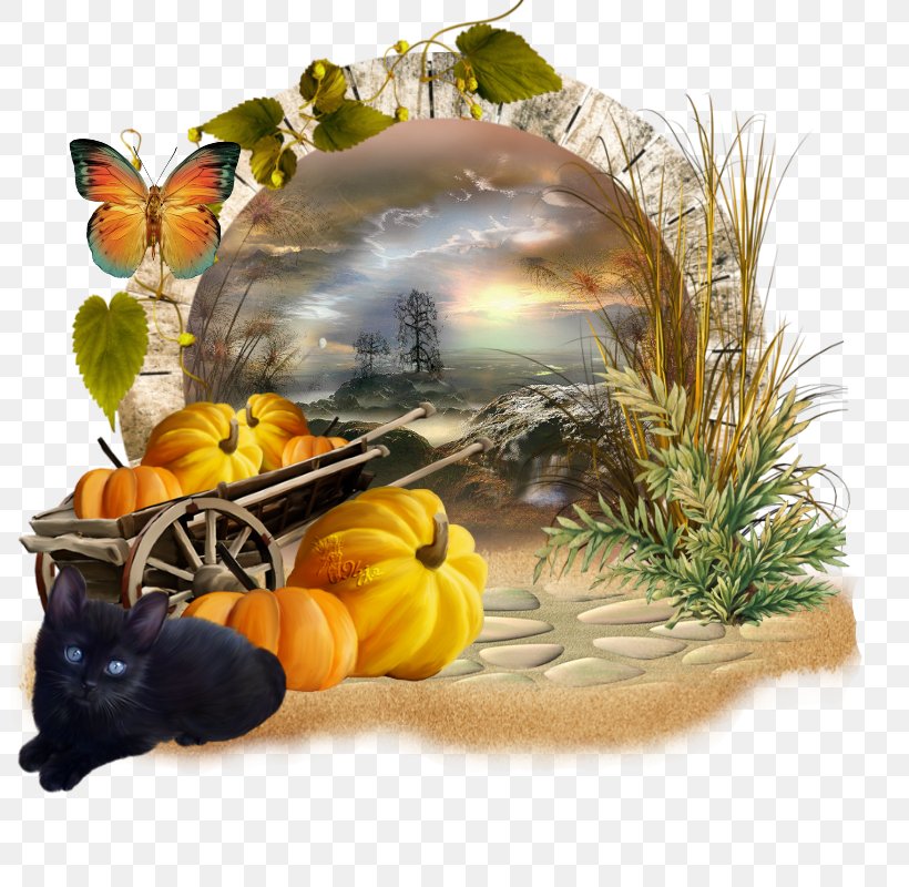 Pumpkin Halloween .net, PNG, 800x800px, Pumpkin, Cheek, Food, Forumactif, Friendship Download Free