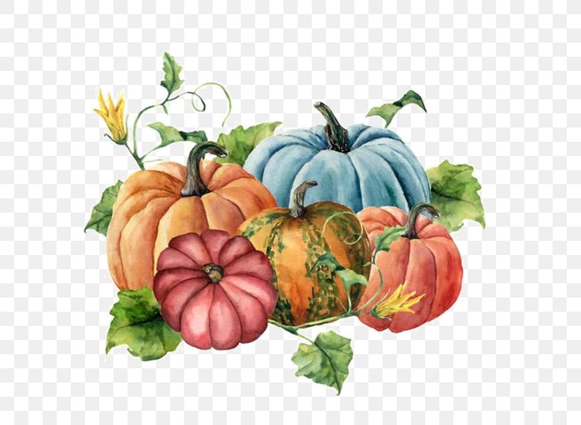 Pumpkin, PNG, 600x600px, Natural Foods, Calabaza, Food, Fruit, Local Food Download Free