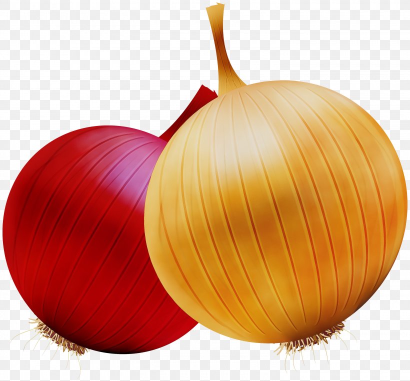 Yellow Onion Red Onion, PNG, 3000x2789px, Yellow Onion, Allium, Food, Onion, Plant Download Free